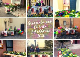 Collage GPV 2020